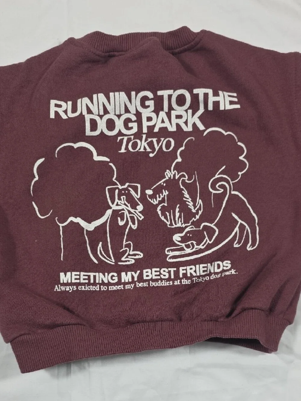 Zara Wine/Mauve Dog Park Graphic Sweatshirt